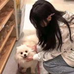 魔兽之心破解版下载
